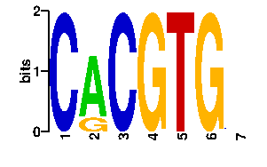 Sequence logo for the mean (readout + contact) position weight matrix (PWM) logo