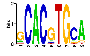 Sequence logo for the mean (readout + contact) position weight matrix (PWM) logo