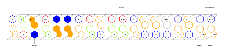 interface graph thumbnail