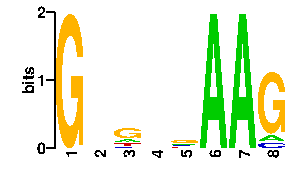 Sequence logo derived only from the contact PWM, readout PWM is considered unreliable logo