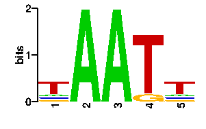 Sequence logo for the mean (readout + contact) position weight matrix (PWM) logo