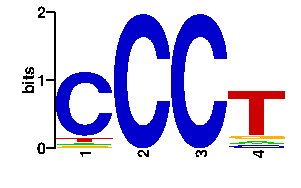 Sequence logo derived only from the contact PWM logo