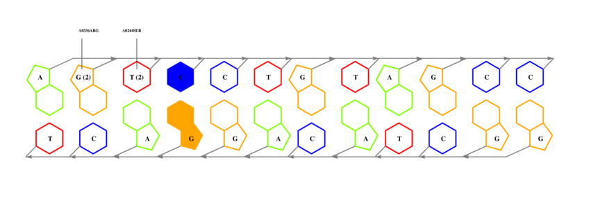 interface graph thumbnail