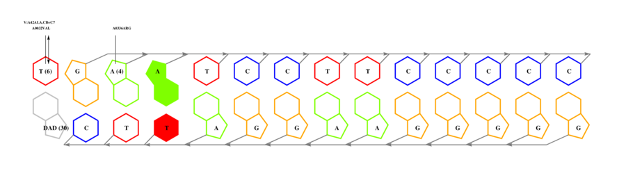 interface graph thumbnail