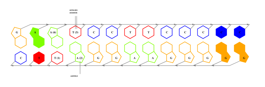 interface graph thumbnail