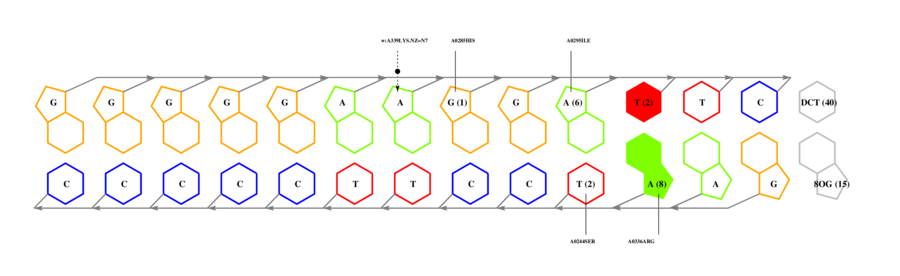 interface graph thumbnail