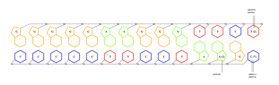 interface graph thumbnail