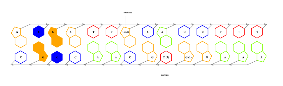 interface graph thumbnail