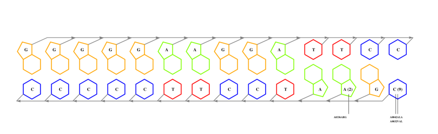 interface graph thumbnail