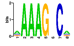 Sequence logo for the mean (readout + contact) position weight matrix (PWM) logo