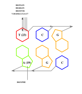 interface graph thumbnail