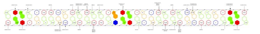 interface graph thumbnail