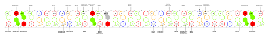 interface graph thumbnail