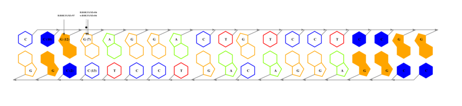 interface graph thumbnail