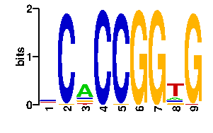Sequence logo for the mean (readout + contact) position weight matrix (PWM) logo