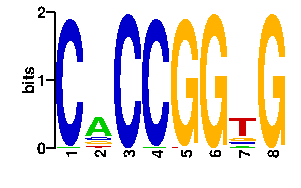 Sequence logo for the mean (readout + contact) position weight matrix (PWM) logo