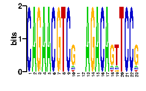 Sequence logo derived only from the contact PWM, readout PWM is considered unreliable logo