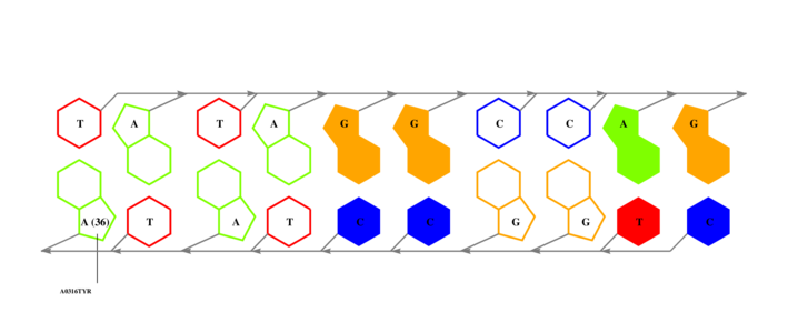 interface graph thumbnail