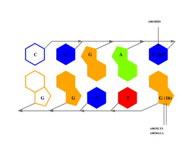 interface graph thumbnail