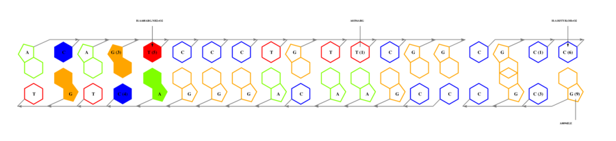 interface graph thumbnail