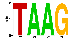 Sequence logo derived only from the contact PWM logo