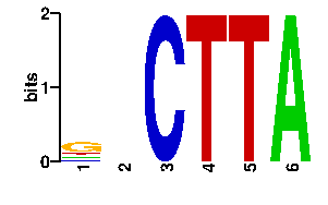 Sequence logo derived only from the contact PWM logo