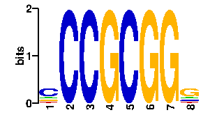 Sequence logo for the mean (readout + contact) position weight matrix (PWM) logo