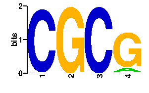 Sequence logo for the mean (readout + contact) position weight matrix (PWM) logo