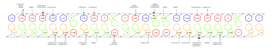 interface graph thumbnail