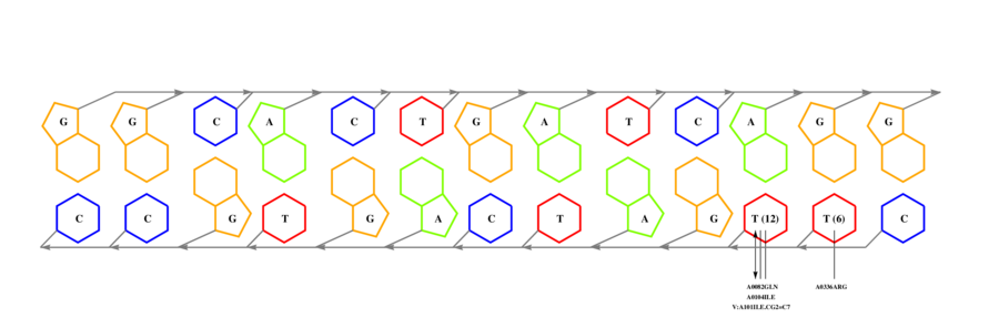 interface graph thumbnail