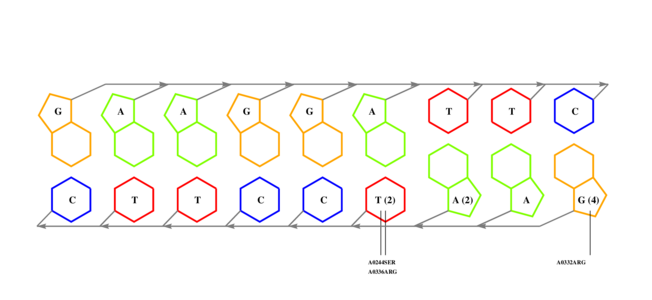 interface graph thumbnail