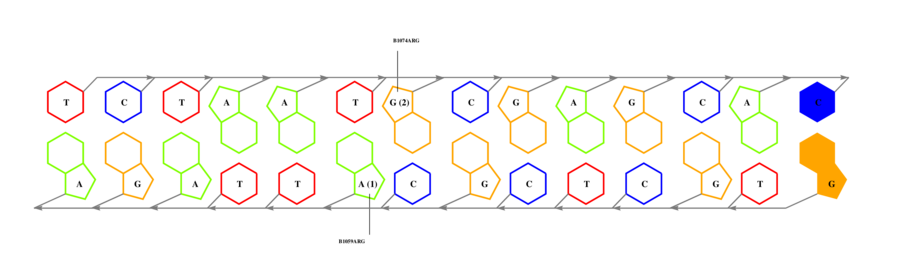 interface graph thumbnail