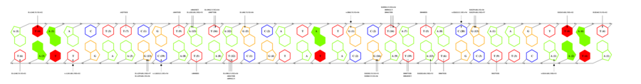 interface graph thumbnail