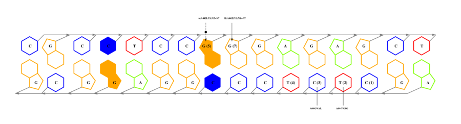 interface graph thumbnail