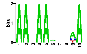 Sequence logo derived only from the contact PWM logo