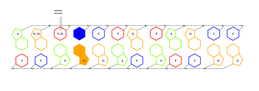 interface graph thumbnail