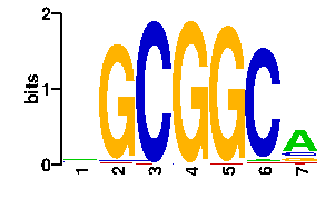 Sequence logo for the mean (readout + contact) position weight matrix (PWM) logo