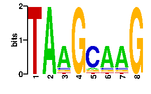 Sequence logo derived only from the contact PWM logo