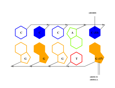 interface graph thumbnail