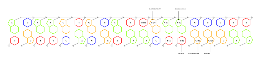 interface graph thumbnail