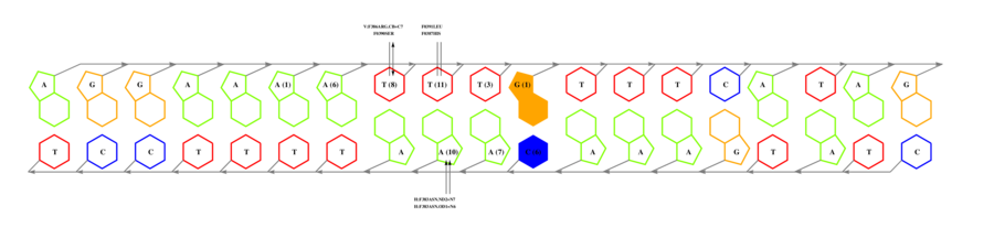 interface graph thumbnail