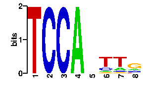 Sequence logo for the mean (readout + contact) position weight matrix (PWM) logo