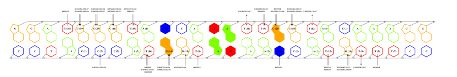 interface graph thumbnail