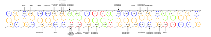 interface graph thumbnail