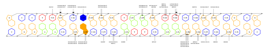interface graph thumbnail