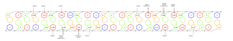 interface graph thumbnail