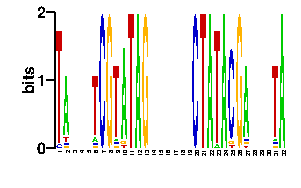 Sequence logo for the mean (readout + contact) position weight matrix (PWM) logo