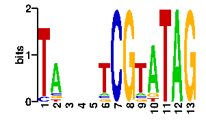 Sequence logo for the mean (readout + contact) position weight matrix (PWM) logo
