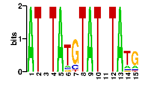 Sequence logo derived only from the contact PWM, readout PWM is considered unreliable logo