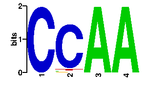 Sequence logo derived only from the contact PWM logo